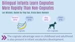 Bilingual infants learn cognates more rapidly than non-cognates